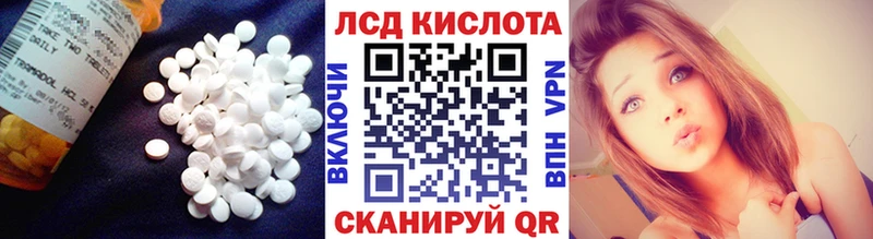 кракен рабочий сайт  Черногорск  LSD-25 экстази кислота  что такое наркотик 